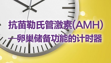 AMH-准确评估卵巢储备功能的检测优惠活动