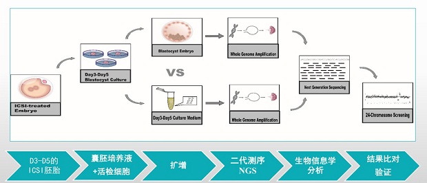 NICS技术示意图