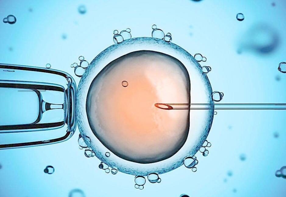 胚胎植入前遗传学诊断