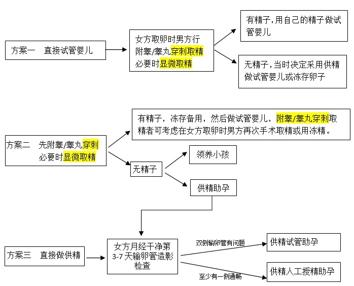 无精症处理方案 - 副本 - 副本.jpg 无精症处理方案 - 副本 - 副本.jpg
